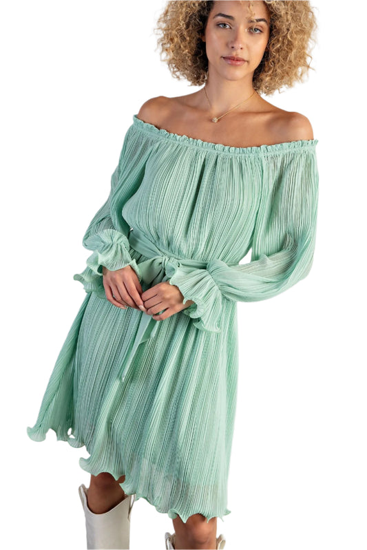 Mint Condition Pleated Dress