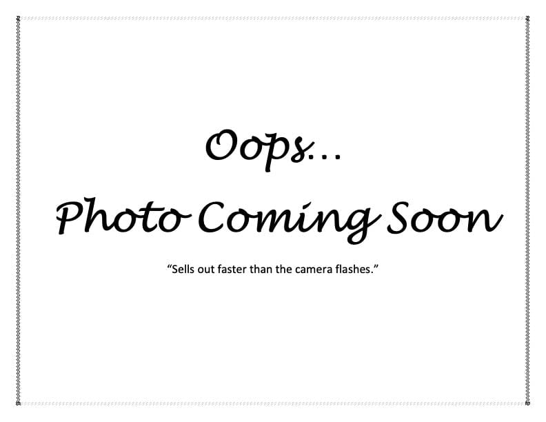 Museum Print Chiffon Scarfs